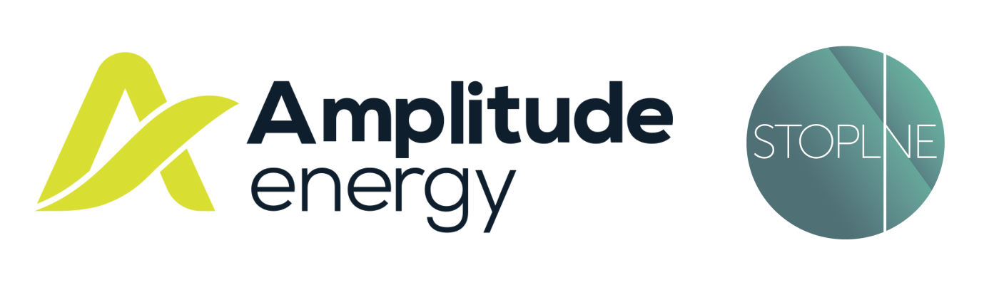 Amplitude Energy Online Disclosures
